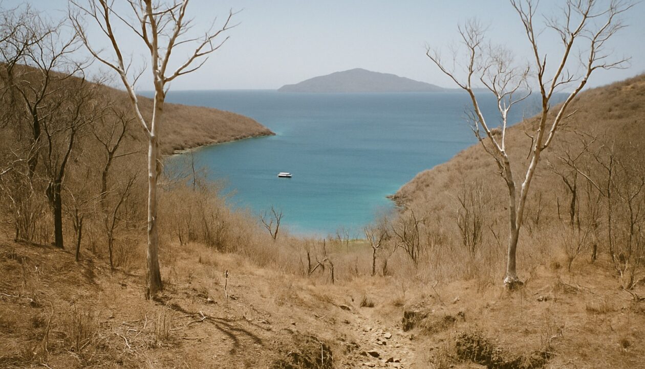 Verdorrter Hang mit blattlosen Bäumen über einer blauen Bucht, dahinter scharf die nächste Insel.